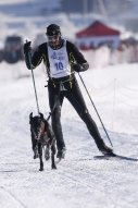 Lenk 2013